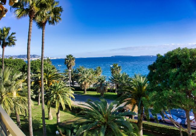 Cannes - Appartement